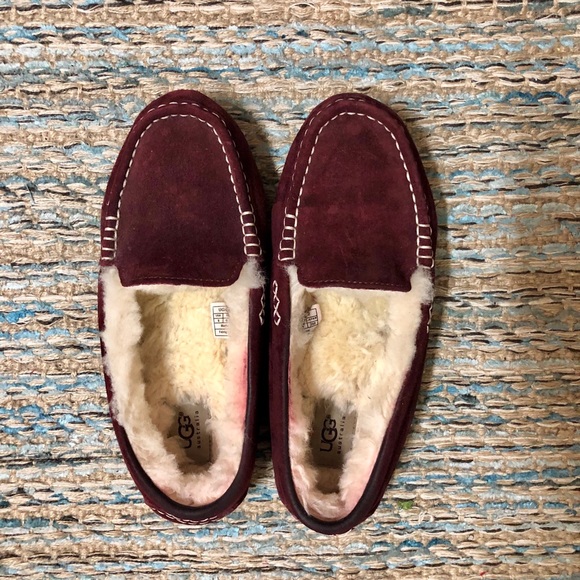 UGG Shoes - UGG slipper